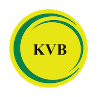 KVB DLite logo